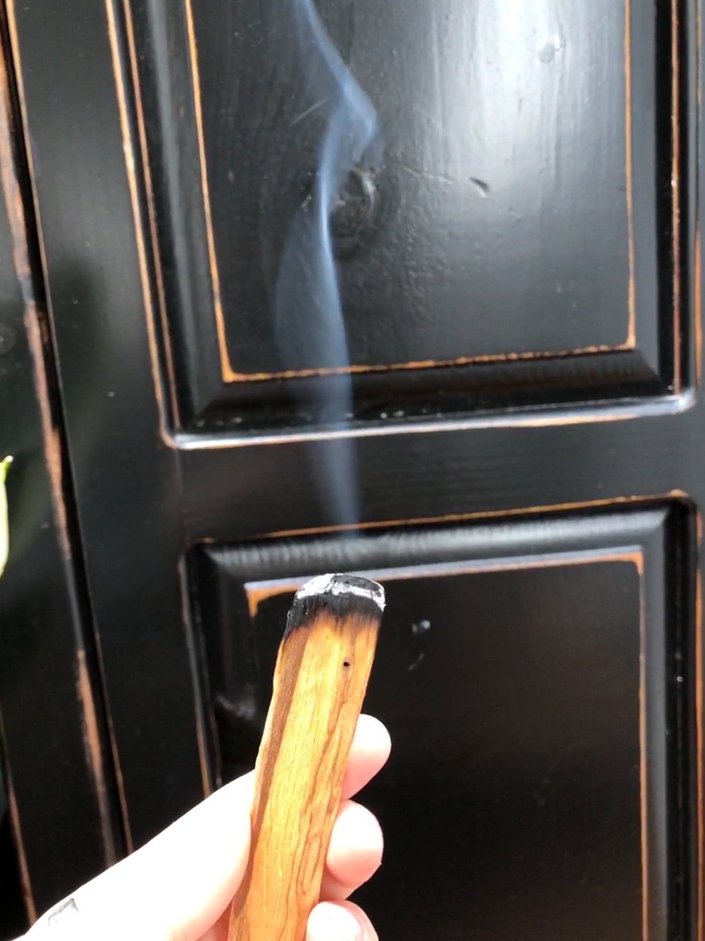 Palo Santo Stick