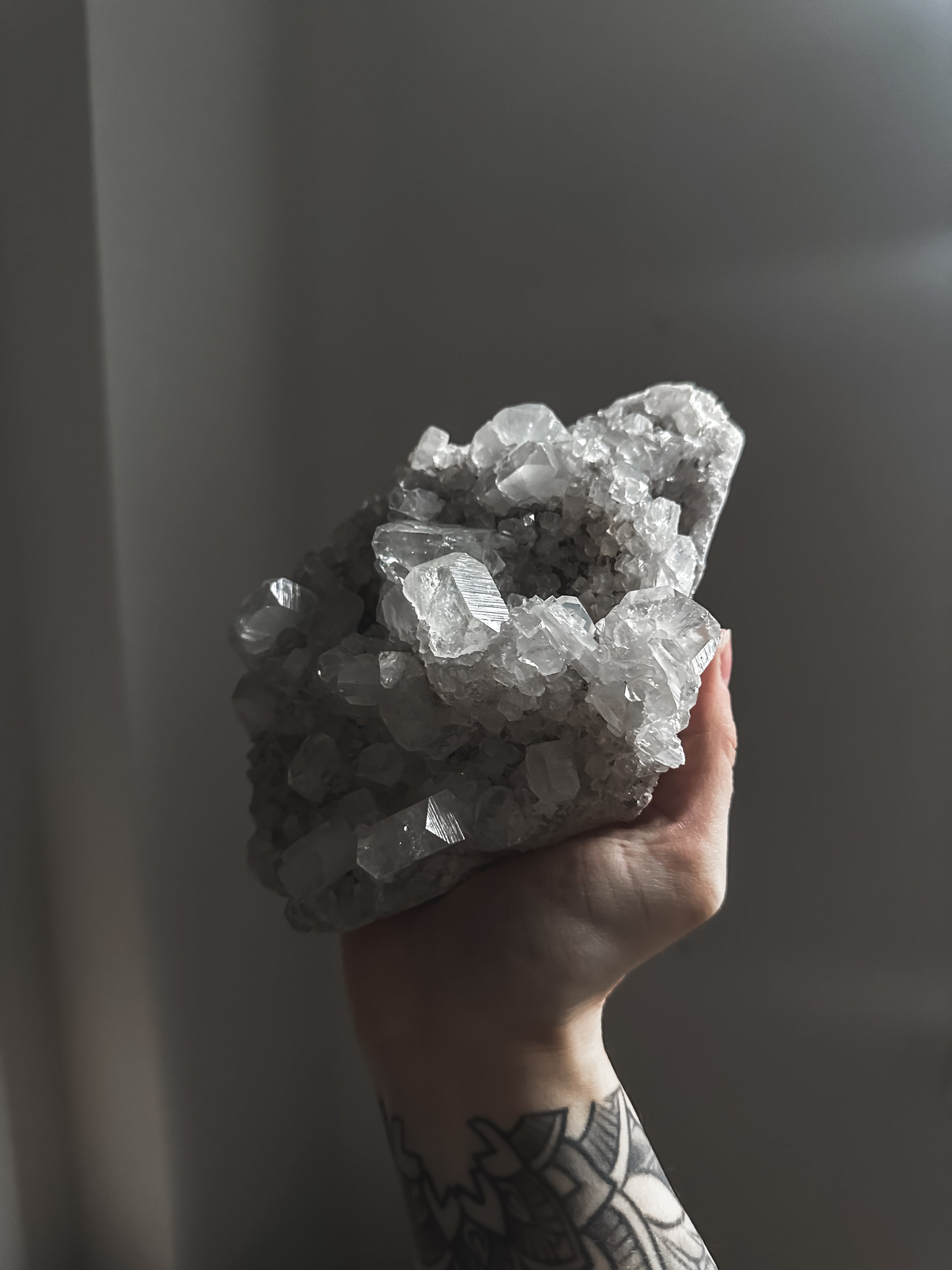 A Large Apophyllite Cluster, featuring sparkling, translucent crystals arranged in a mesmerizing formation. Perfect for adding natural elegance to any home decor or presenting as a thoughtful metaphysical gift.