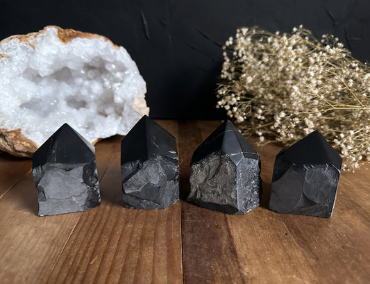 These beautiful Black Onyx Polished Top Points are embellished with shimmering Pyrite throughout. You choose which Black Onyx cut base you'd like to receive. 