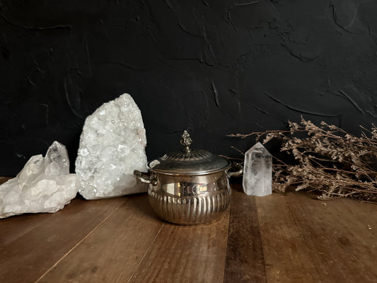 vintage silver lidded pot, adorned with intricate designs on its handles. The perfect witchy cauldron.