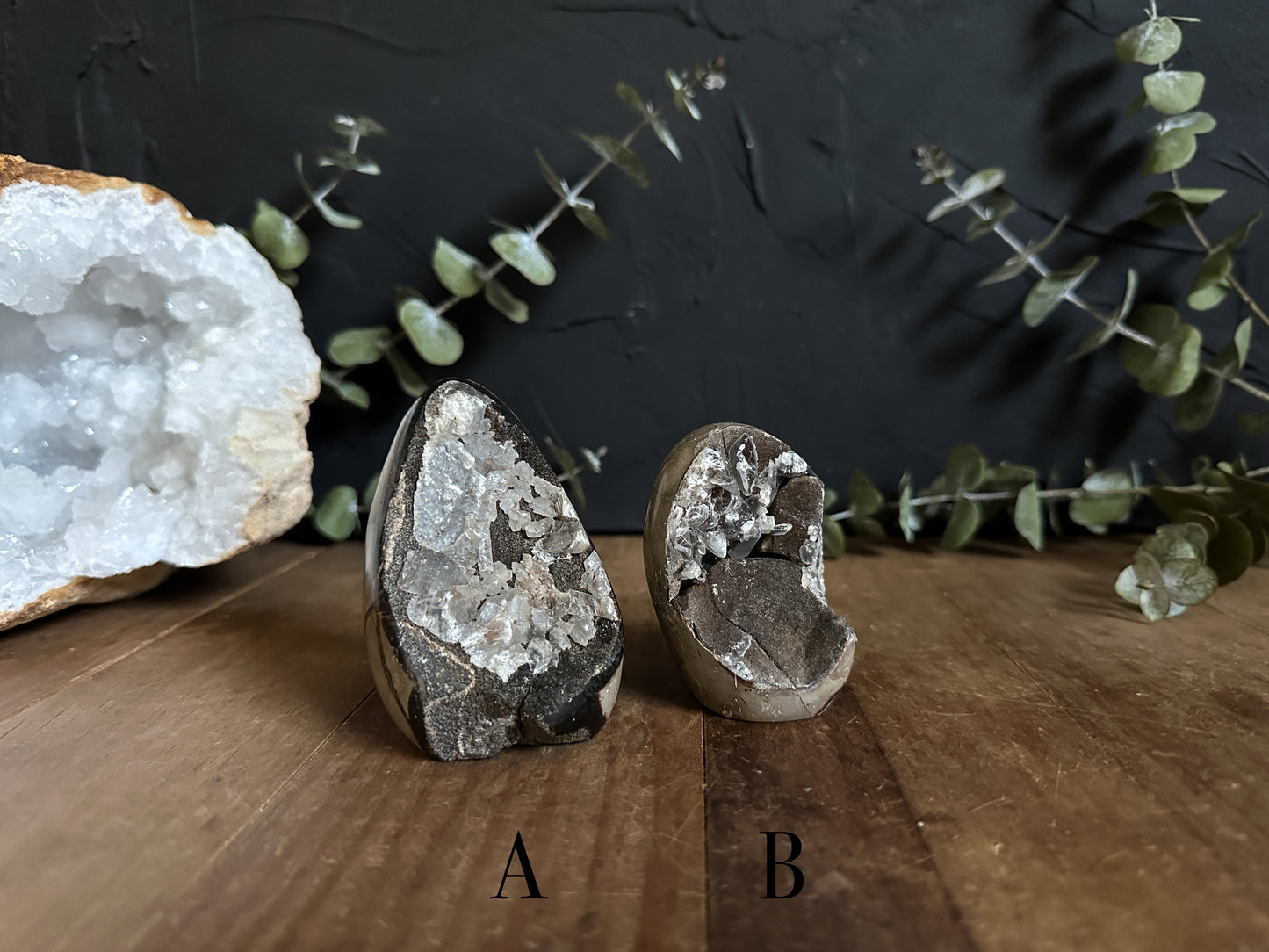 Septarian Geodes with Calcite Inclusions - Your Choice