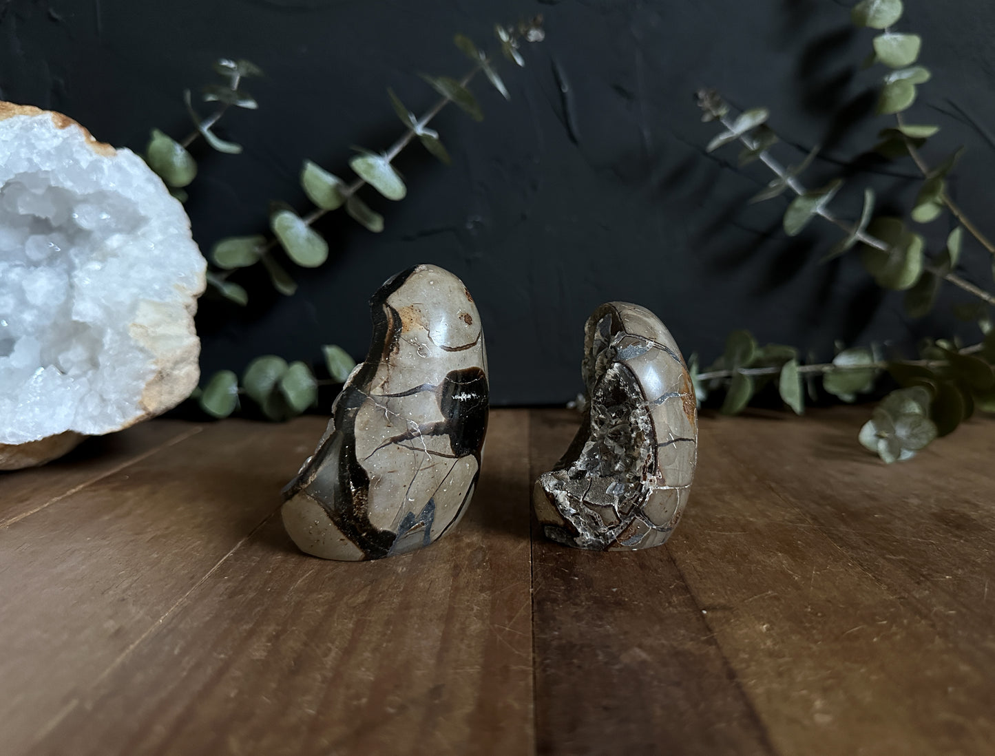 Septarian Geodes with Calcite Inclusions - Your Choice