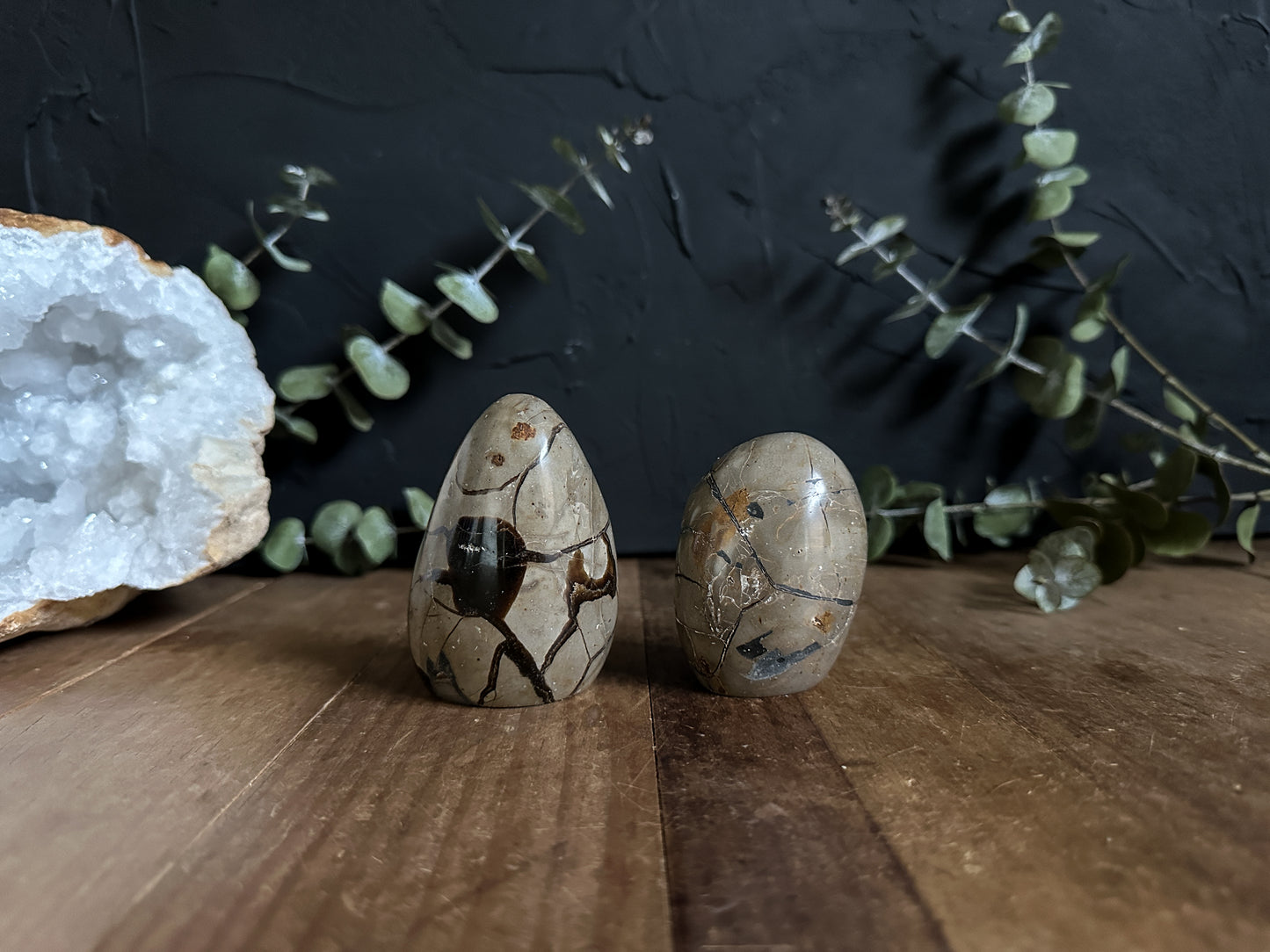 Septarian Geodes with Calcite Inclusions - Your Choice