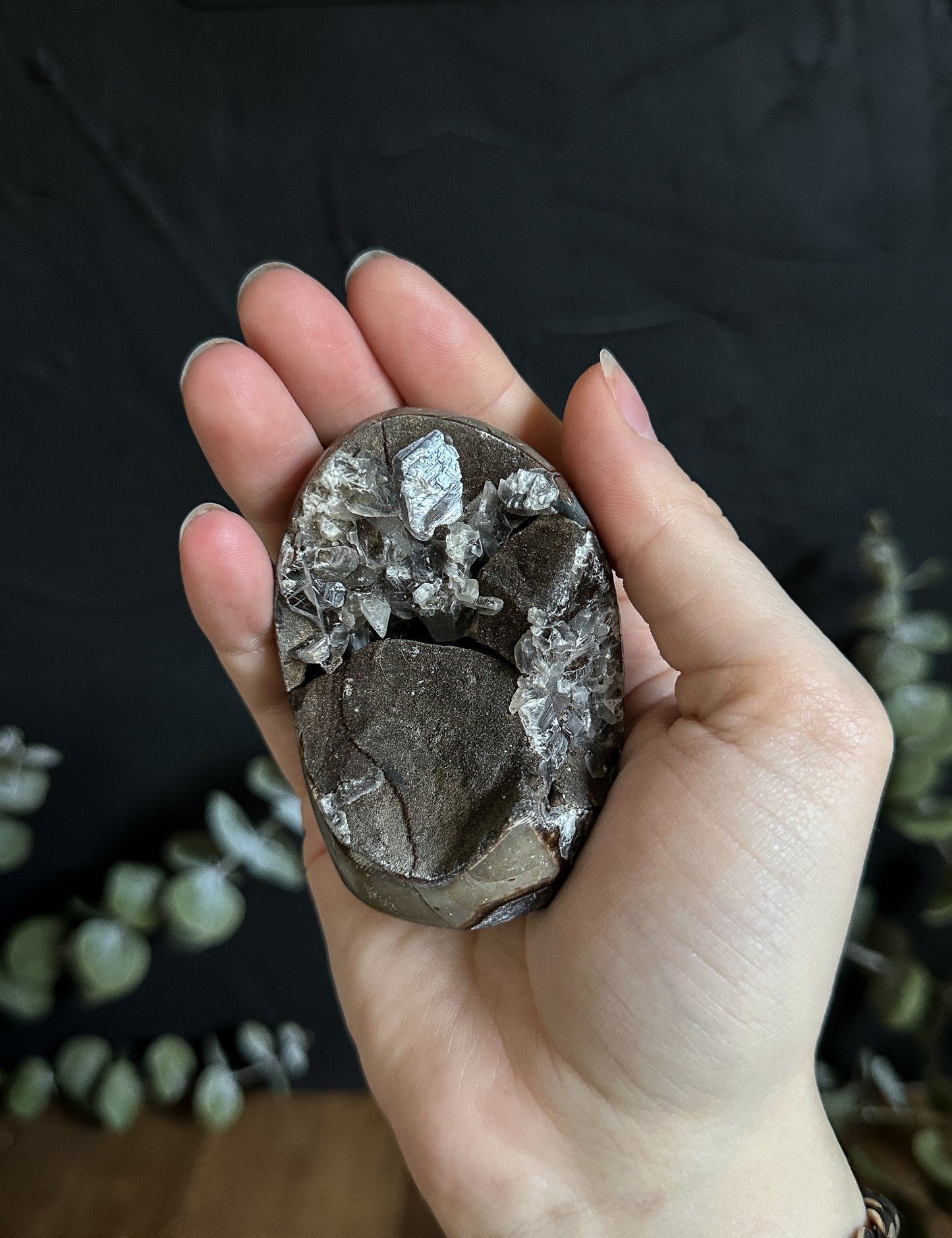 Septarian Geodes with Calcite Inclusions - Your Choice