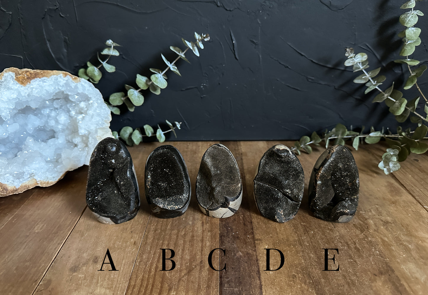 Septarian Geode Egg, Septarian Cutbase Natural Formations ! You Pick the Geode you want.