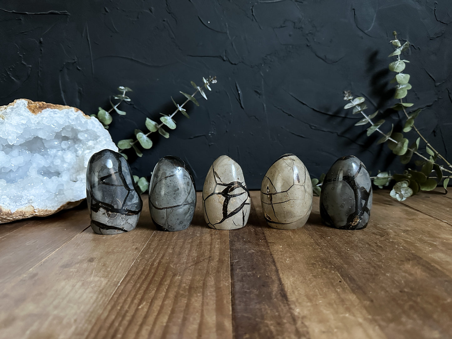 Septarian Geode Egg - Your Choice