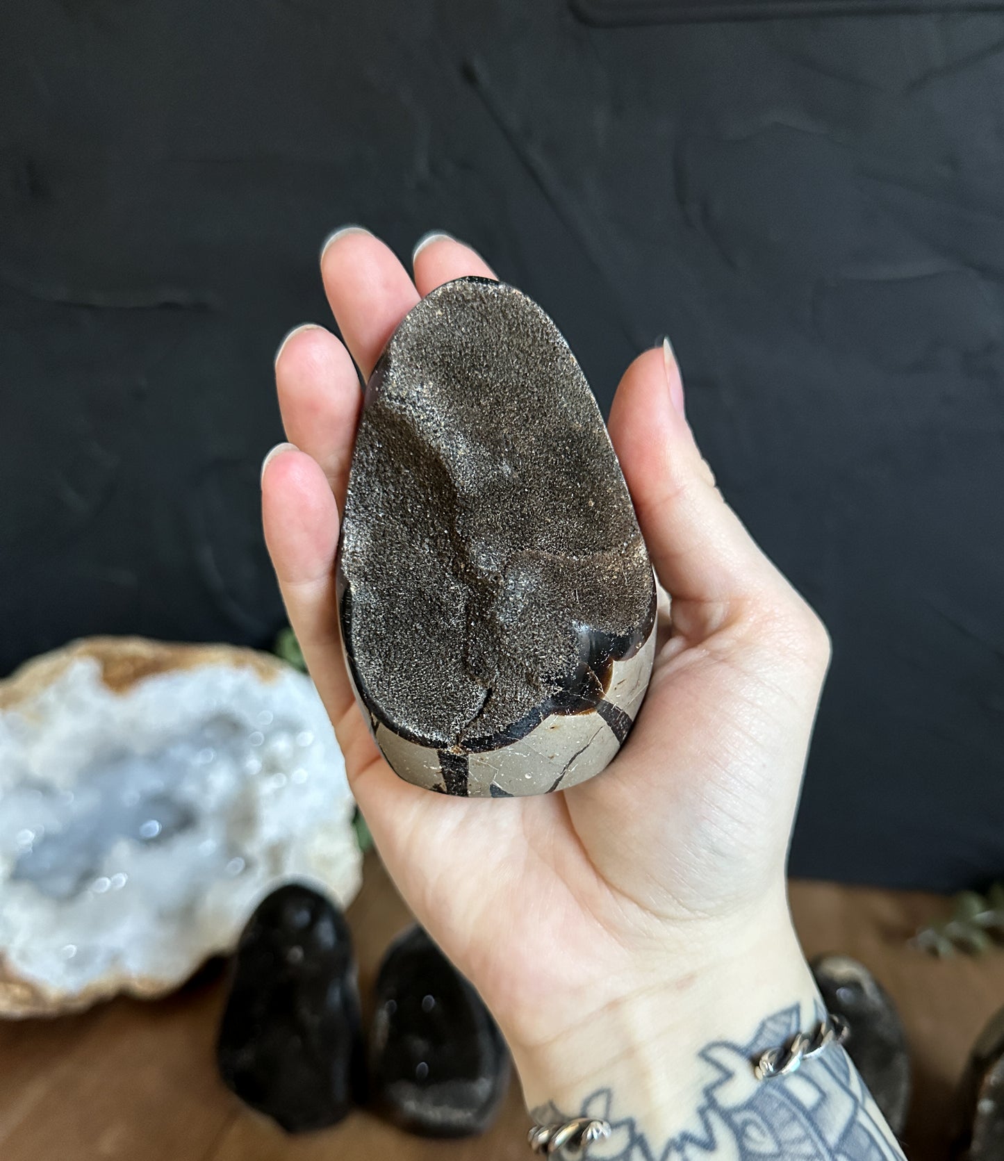 Septarian Geode Egg - Your Choice