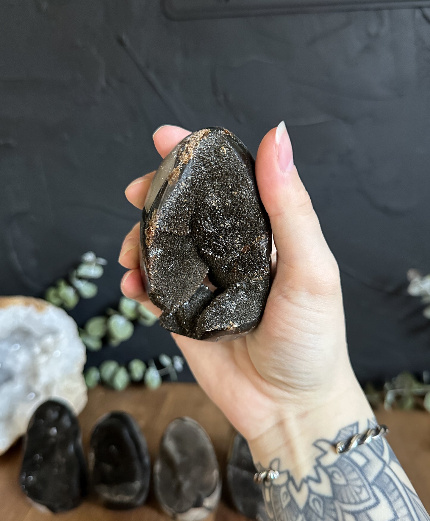 Septarian Geode Egg - Your Choice