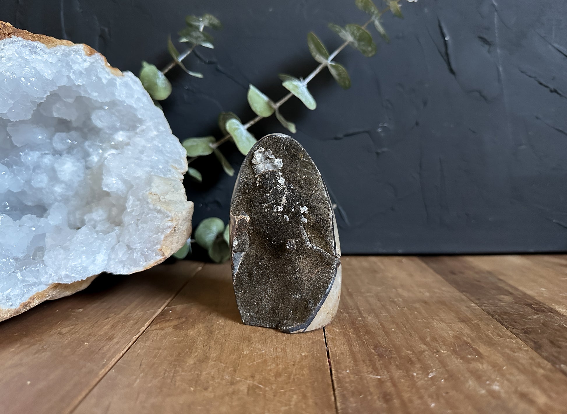 rare Septarian Geode with Calcite Inclusions for a crystal collector!