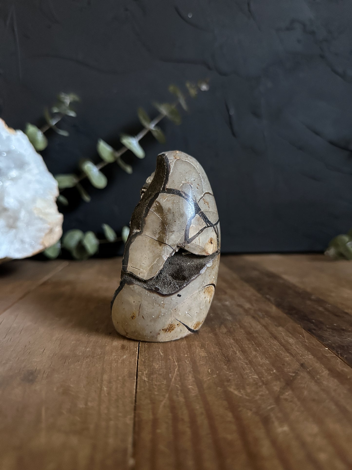 Septarian Geode with Calcite Inclusions - 01