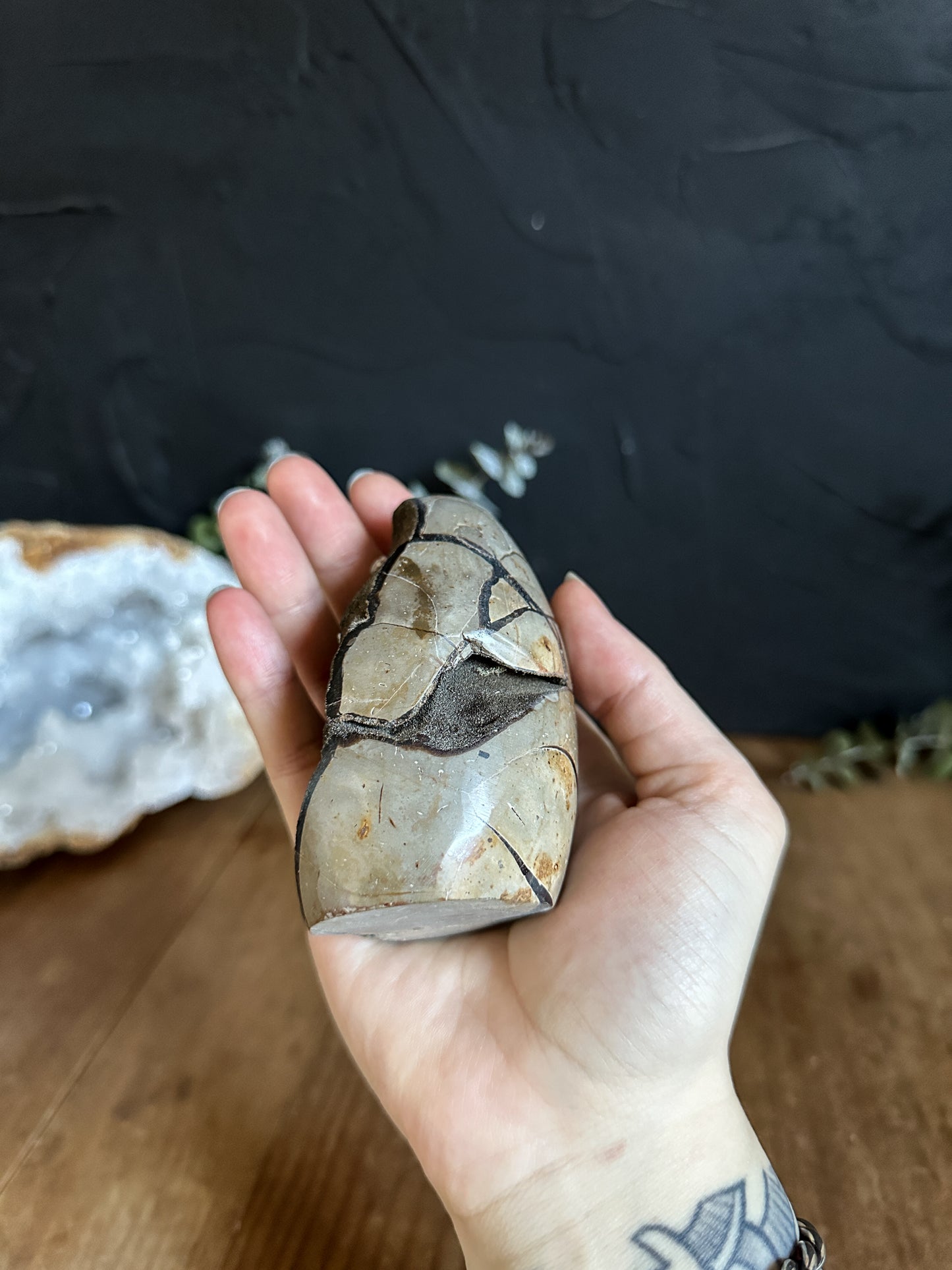 Septarian Geode with Calcite Inclusions - 01