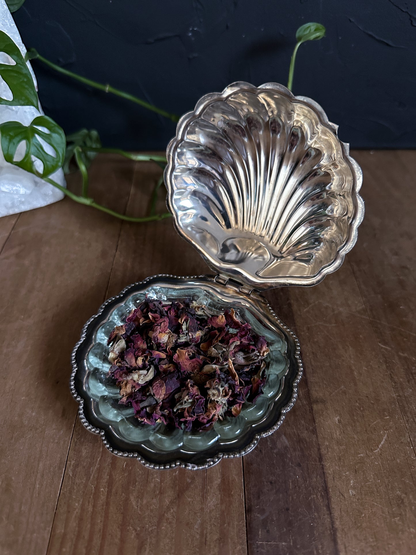 This beautiful VintageSilver Plated Shell Dish has the perfect Sea Witch vibe. Water Witch Offering Dish for all Rituals .
