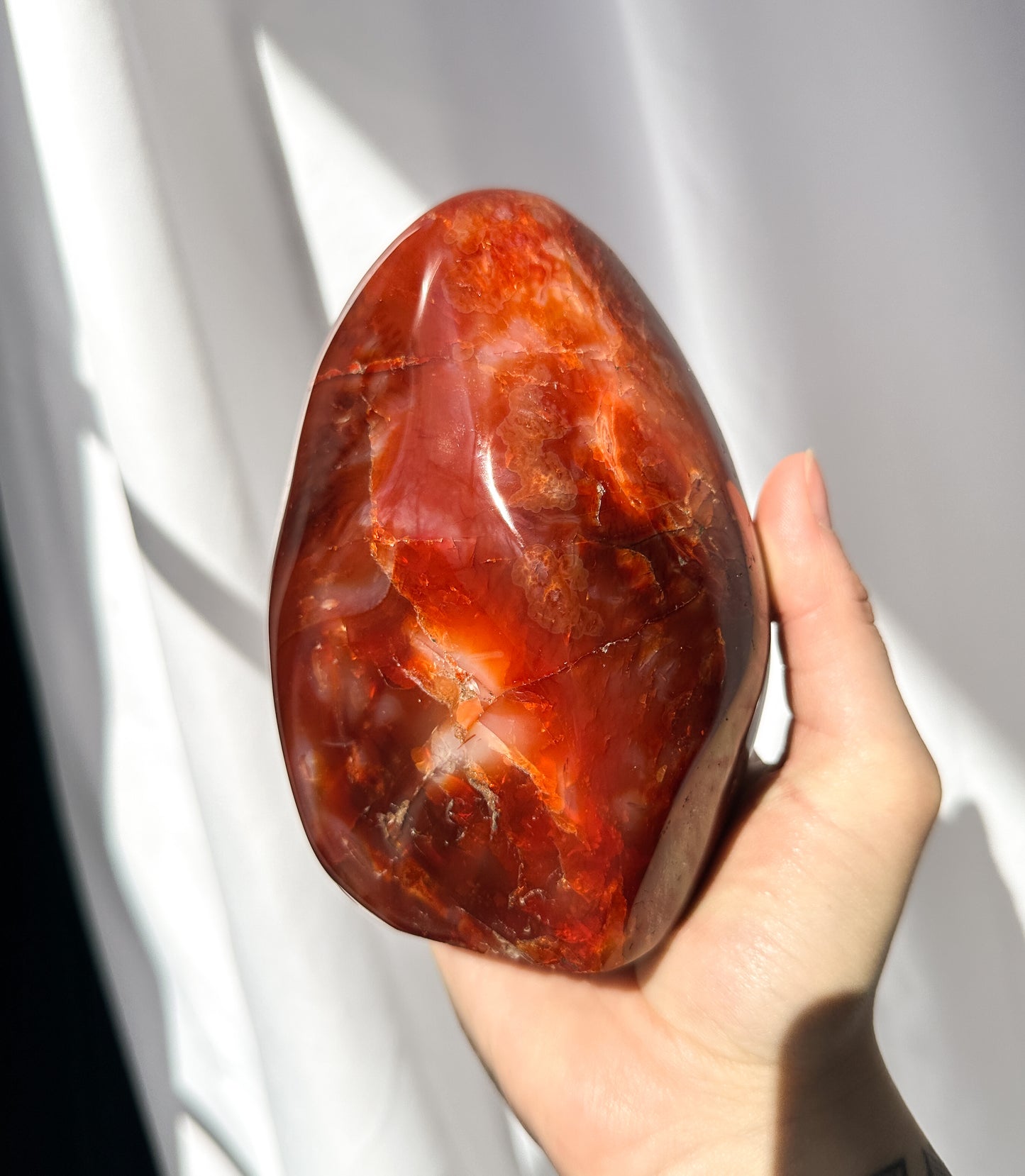 Large Carnelian Freeform - 01