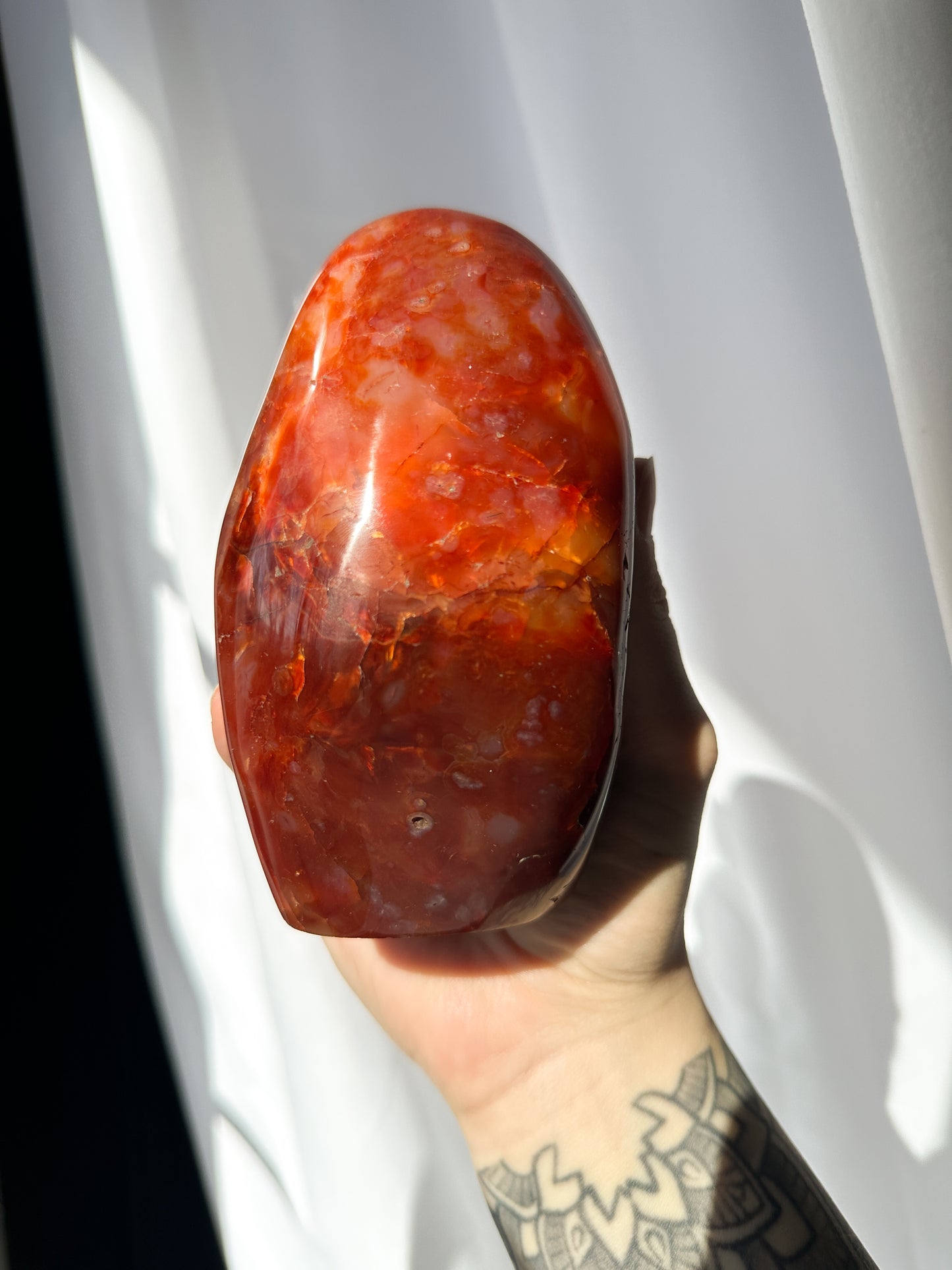 Large Carnelian Freeform - 01