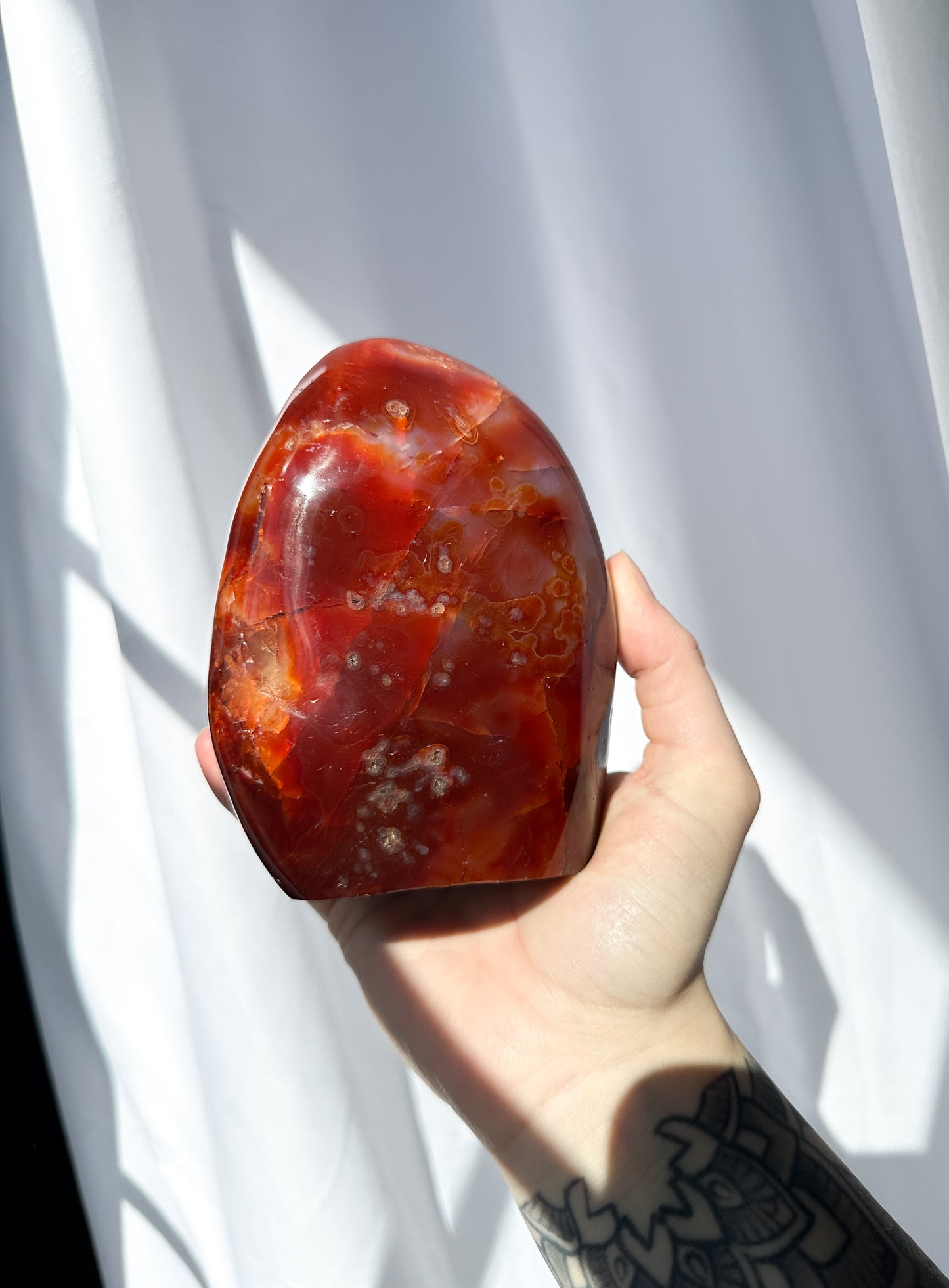 Large Carnelian Freeform - 01