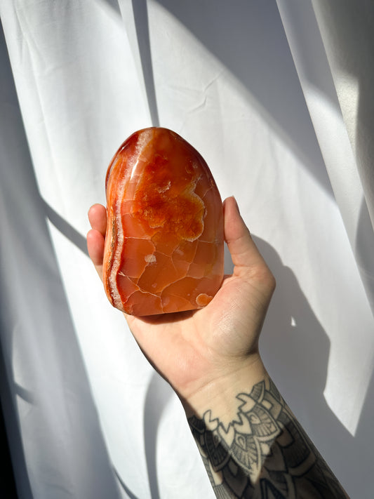 A beautiful Carnelian Freeform with vibrant hues of red and orange