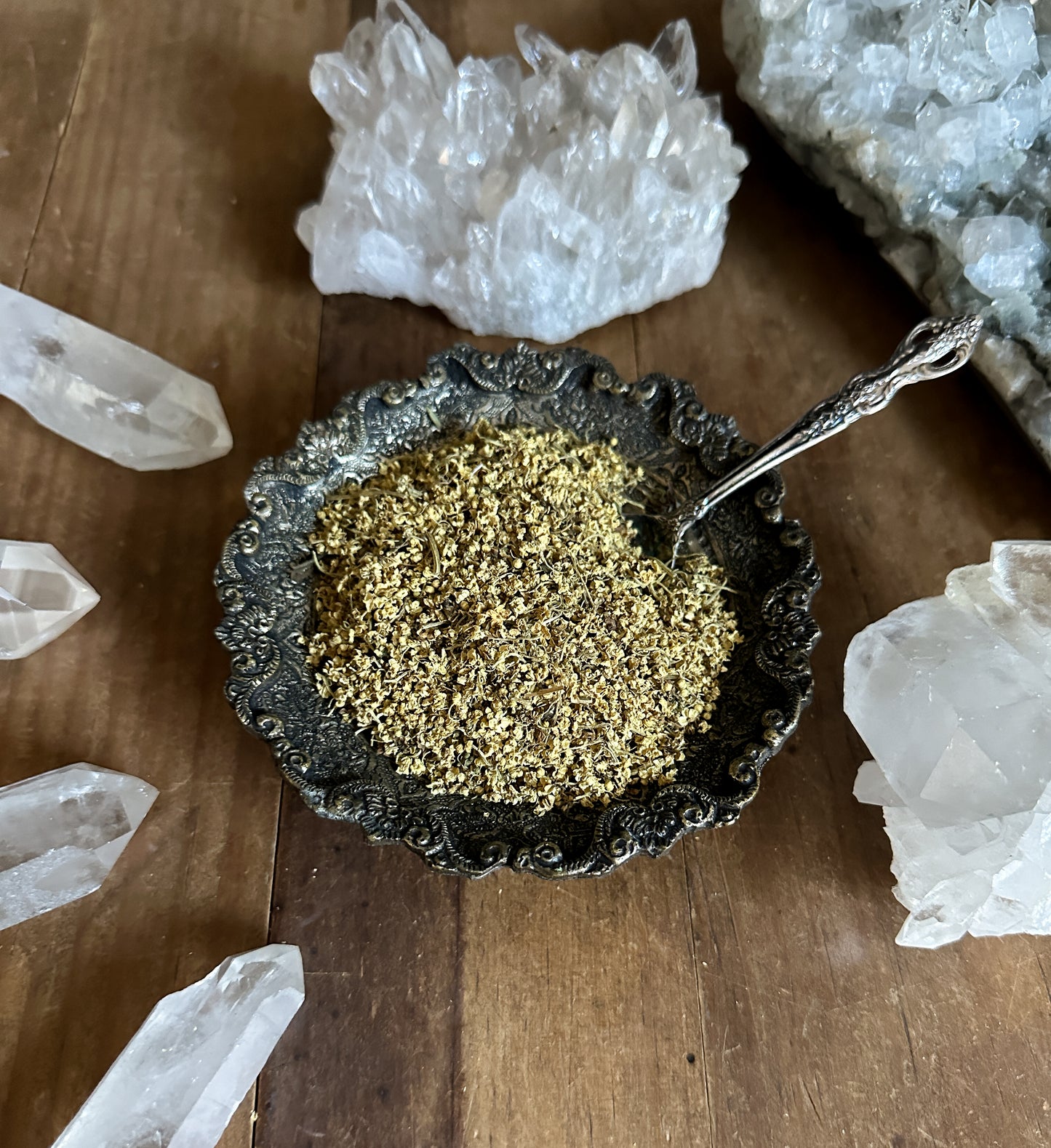 Elder Flower - Ritual Apothecary