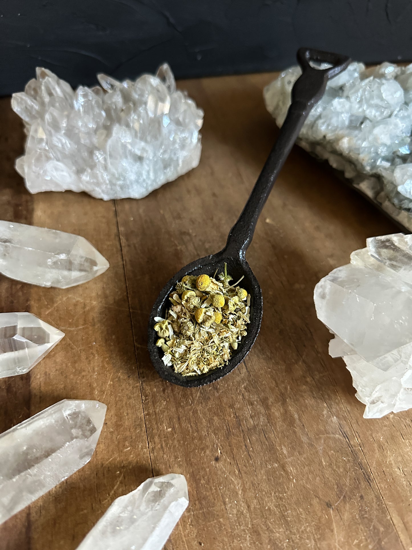 Ritual herbs and flowers, Chamomile Flower, Matricaria chamomilla