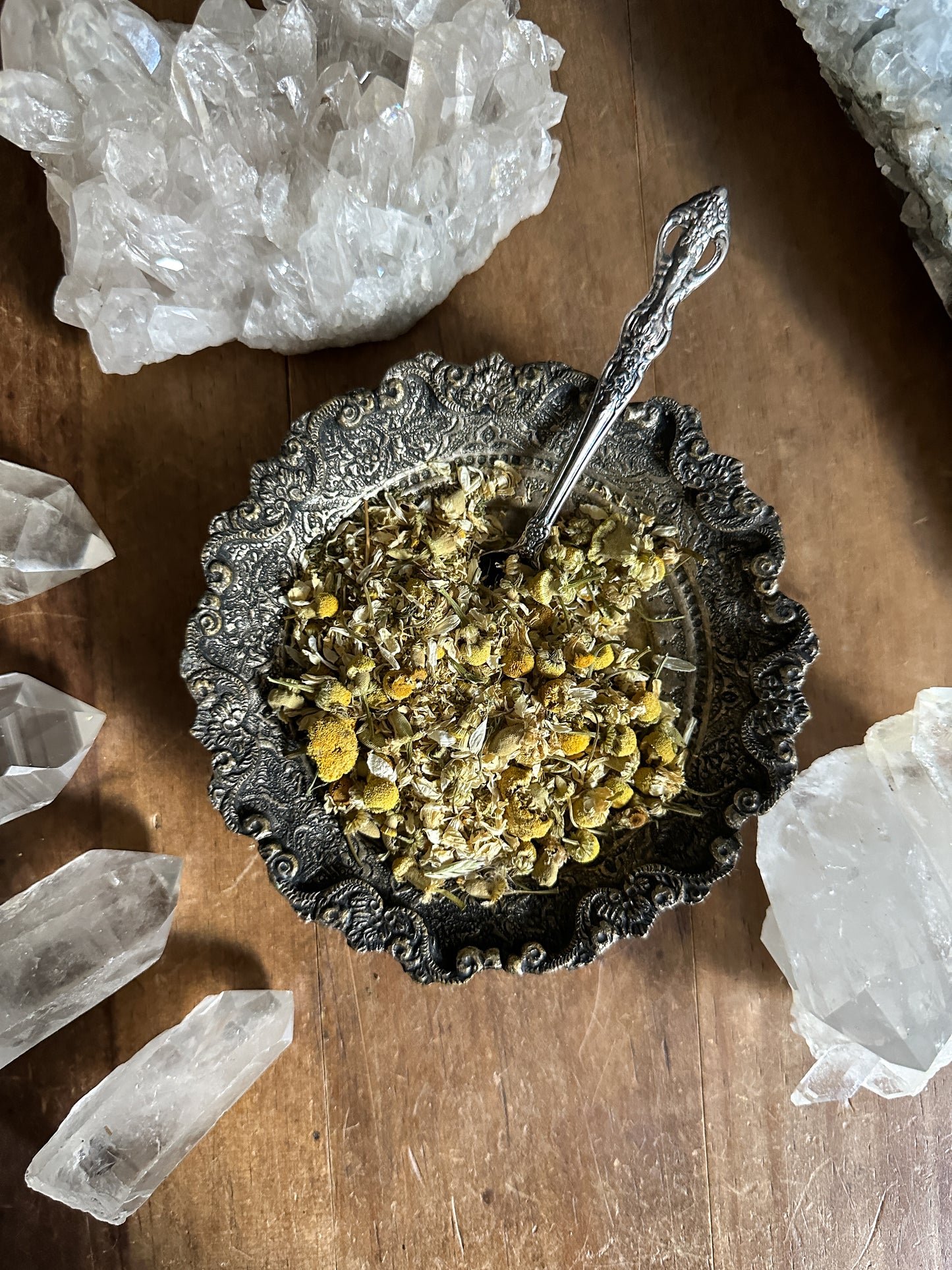 Chamomile Flower - Ritual Apothecary