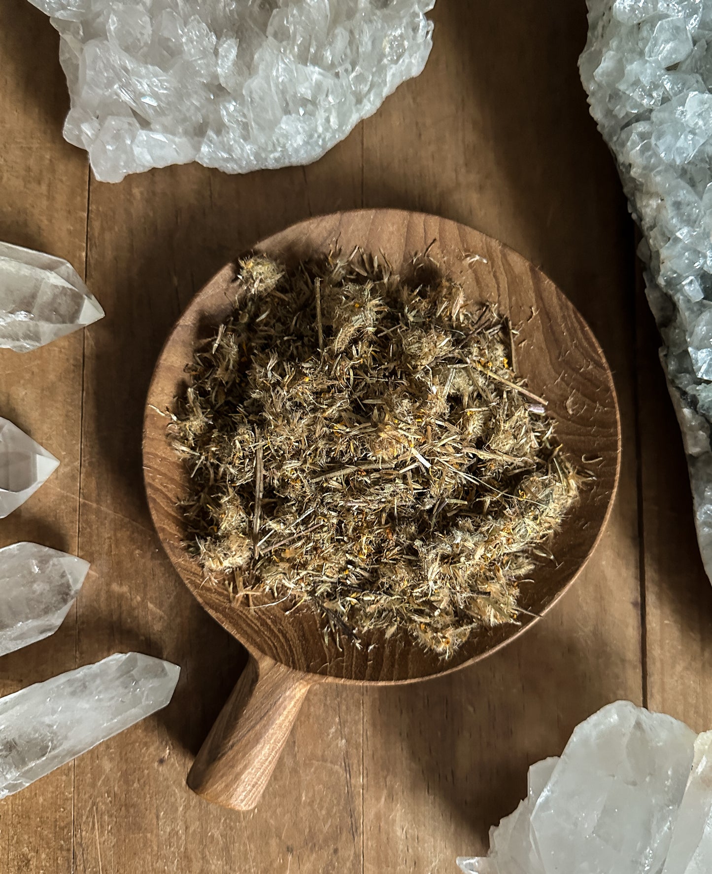 Arnica Flower - Ritual Apothecary