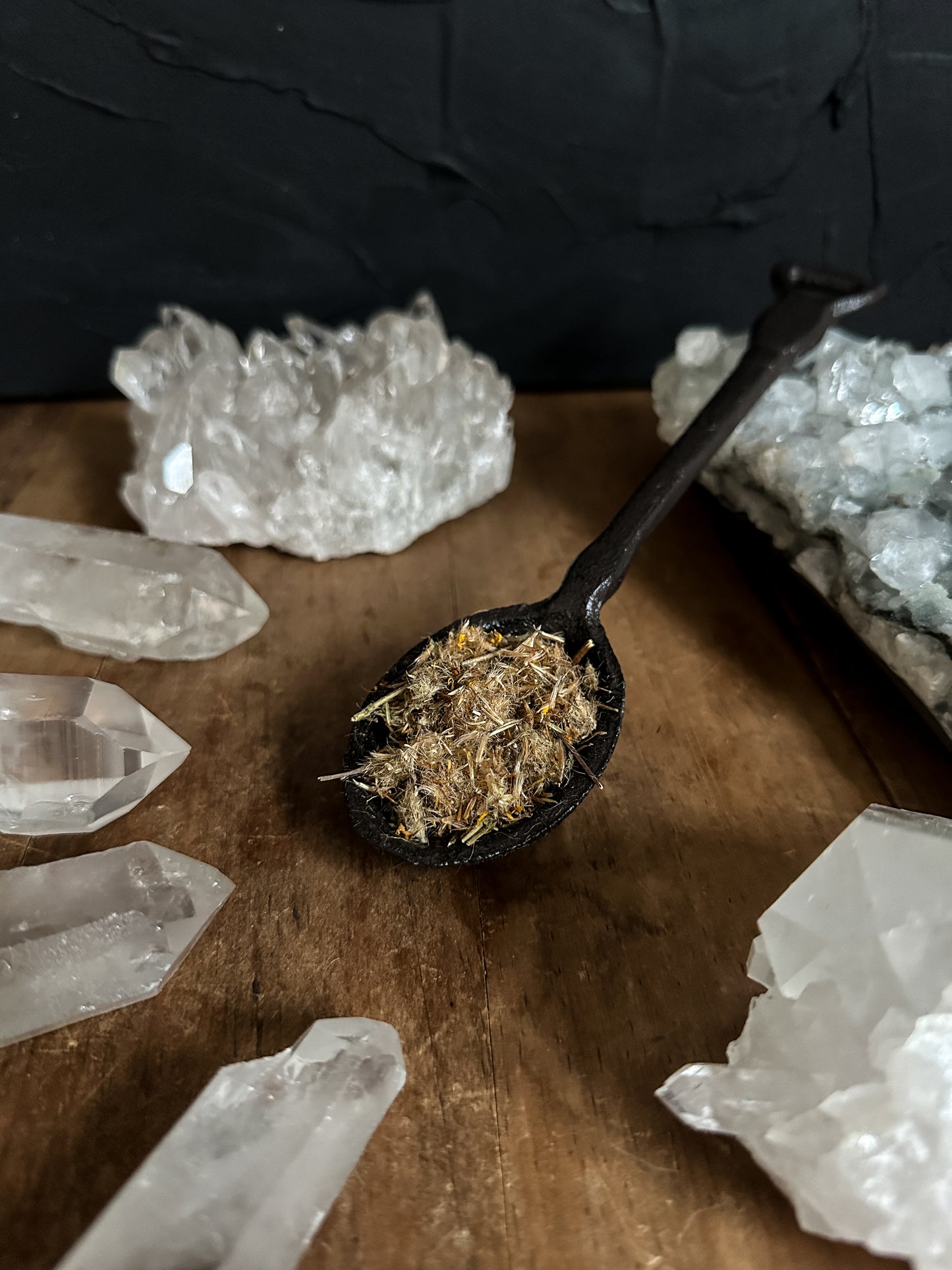 Arnica Flower - Ritual Apothecary