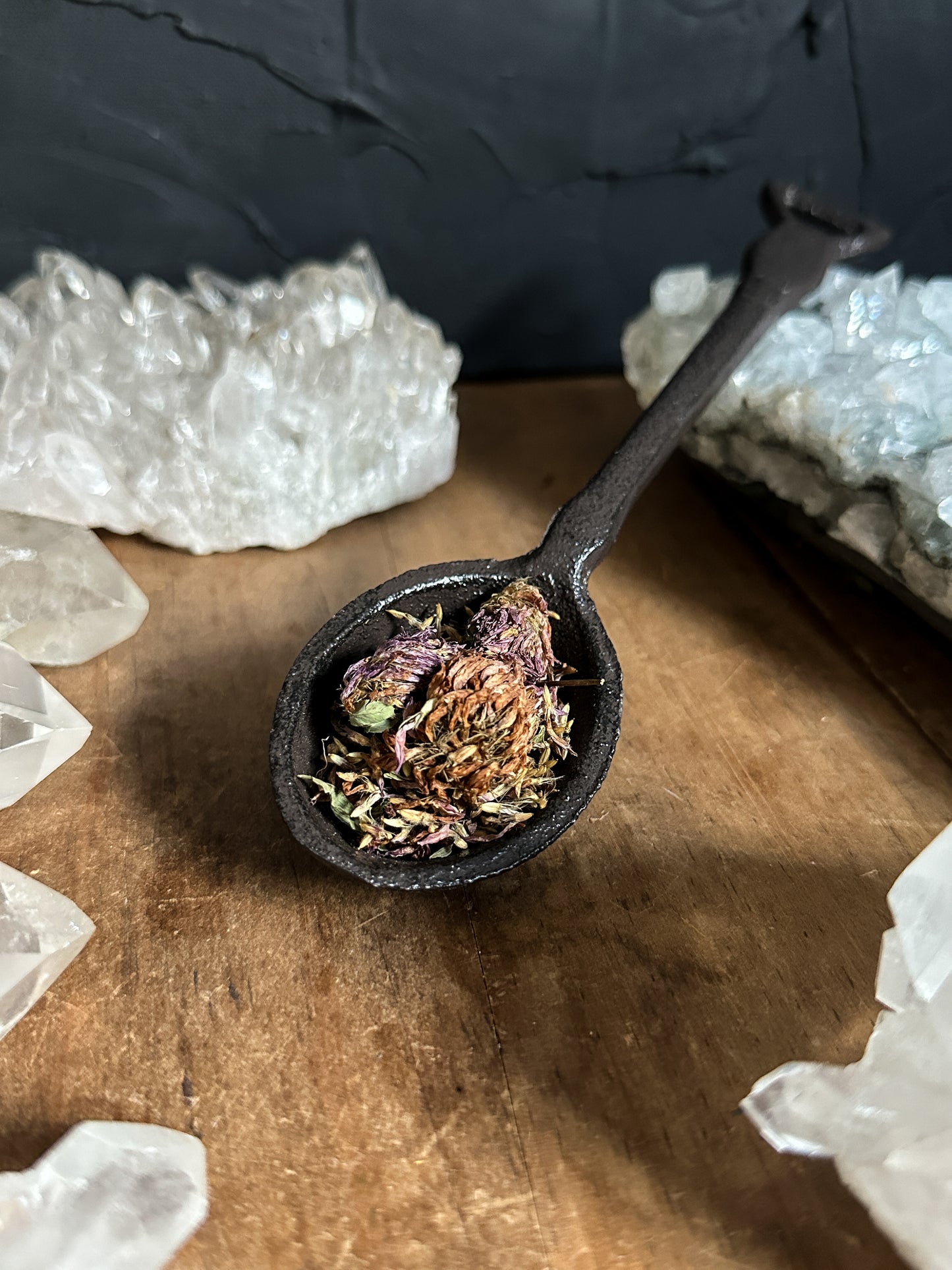 Dried Red Clover Flower sold in Bulk at The Stone Maidens. 