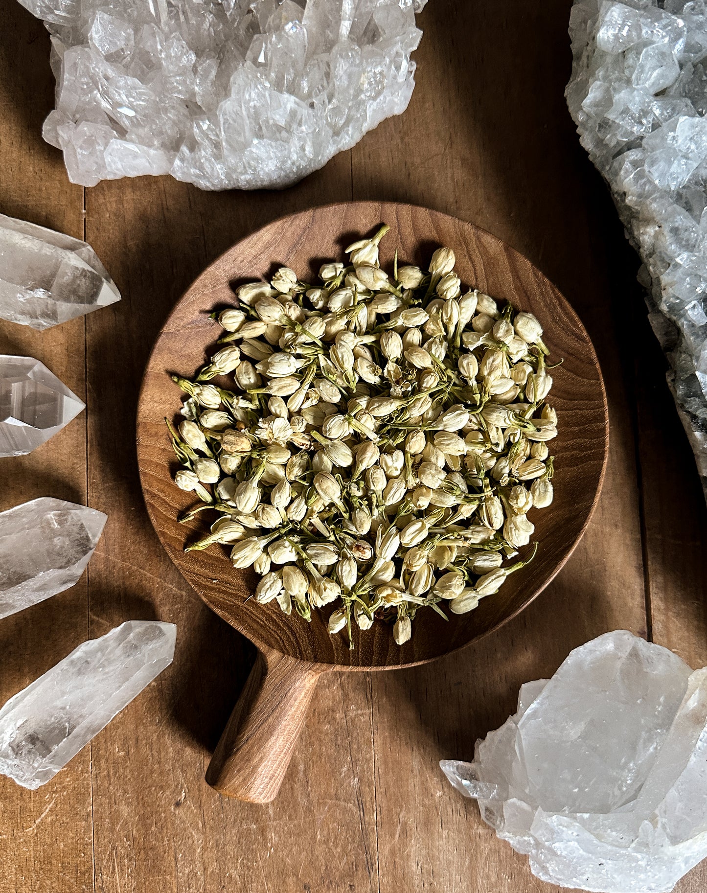 Jasmine Flower - Ritual Apothecary