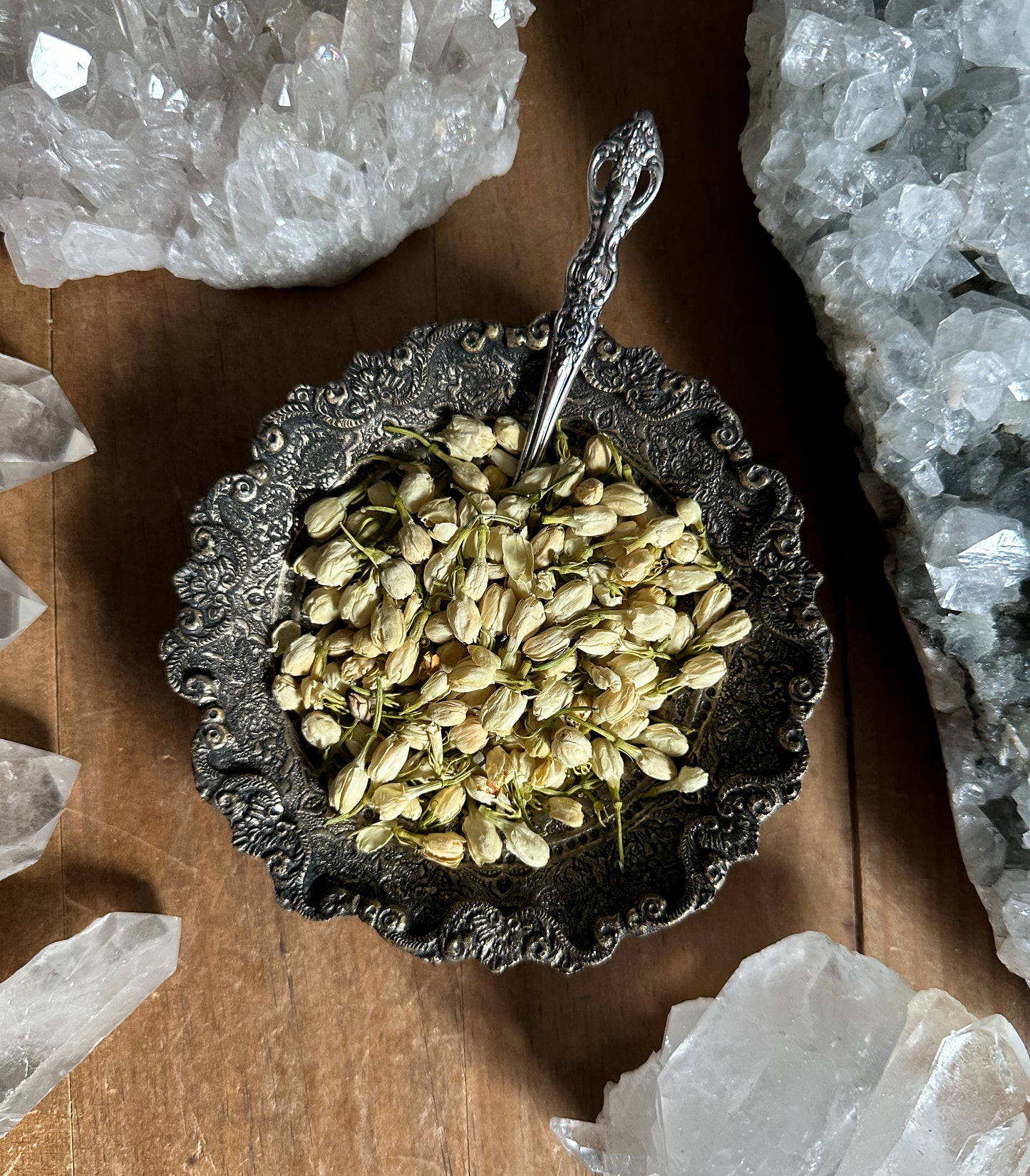 Jasmine Flower - Ritual Apothecary