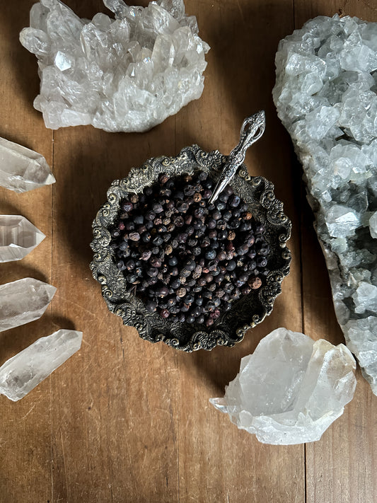 Ritual herb, Juniper Berry. Bulk Apothecary at The Stone Maidens