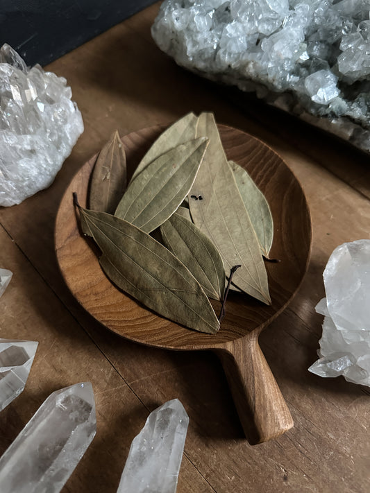 10 Large Bay Leaves sold at The Stone Maidens. Ritual Herbs Bulk Apothecary