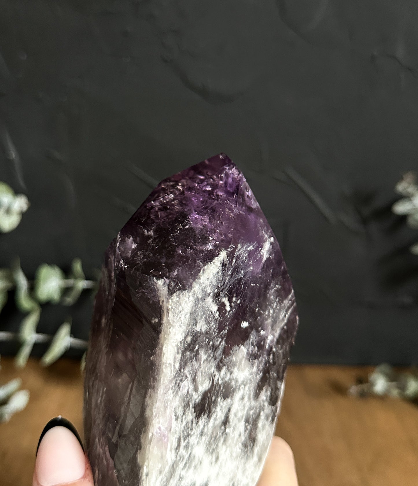 LARGE Raw Amethyst Root - 01