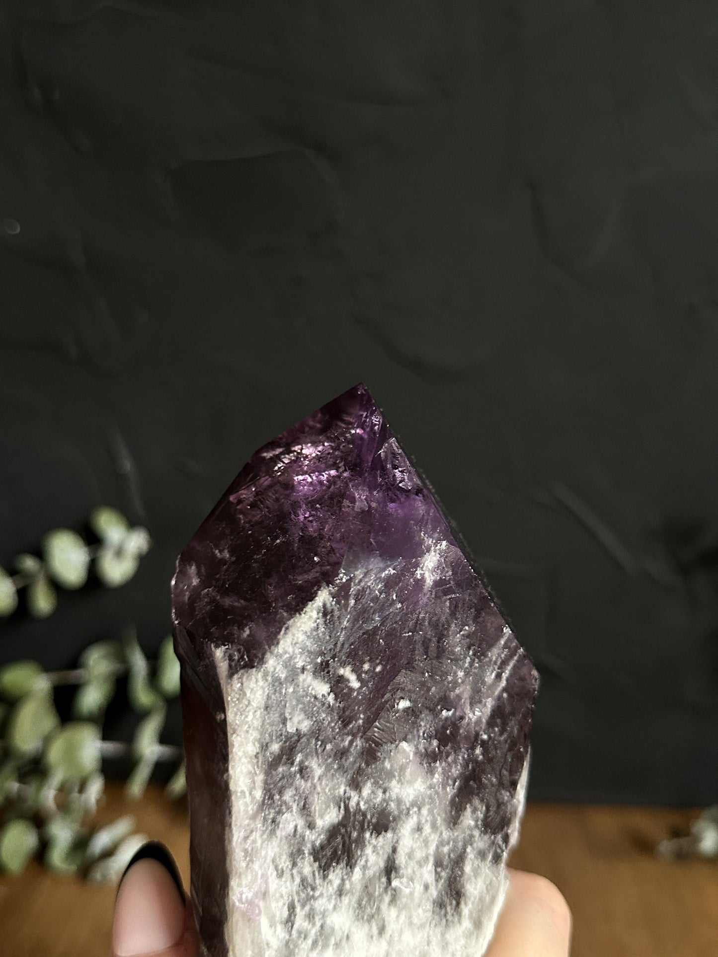 LARGE Raw Amethyst Root - 01