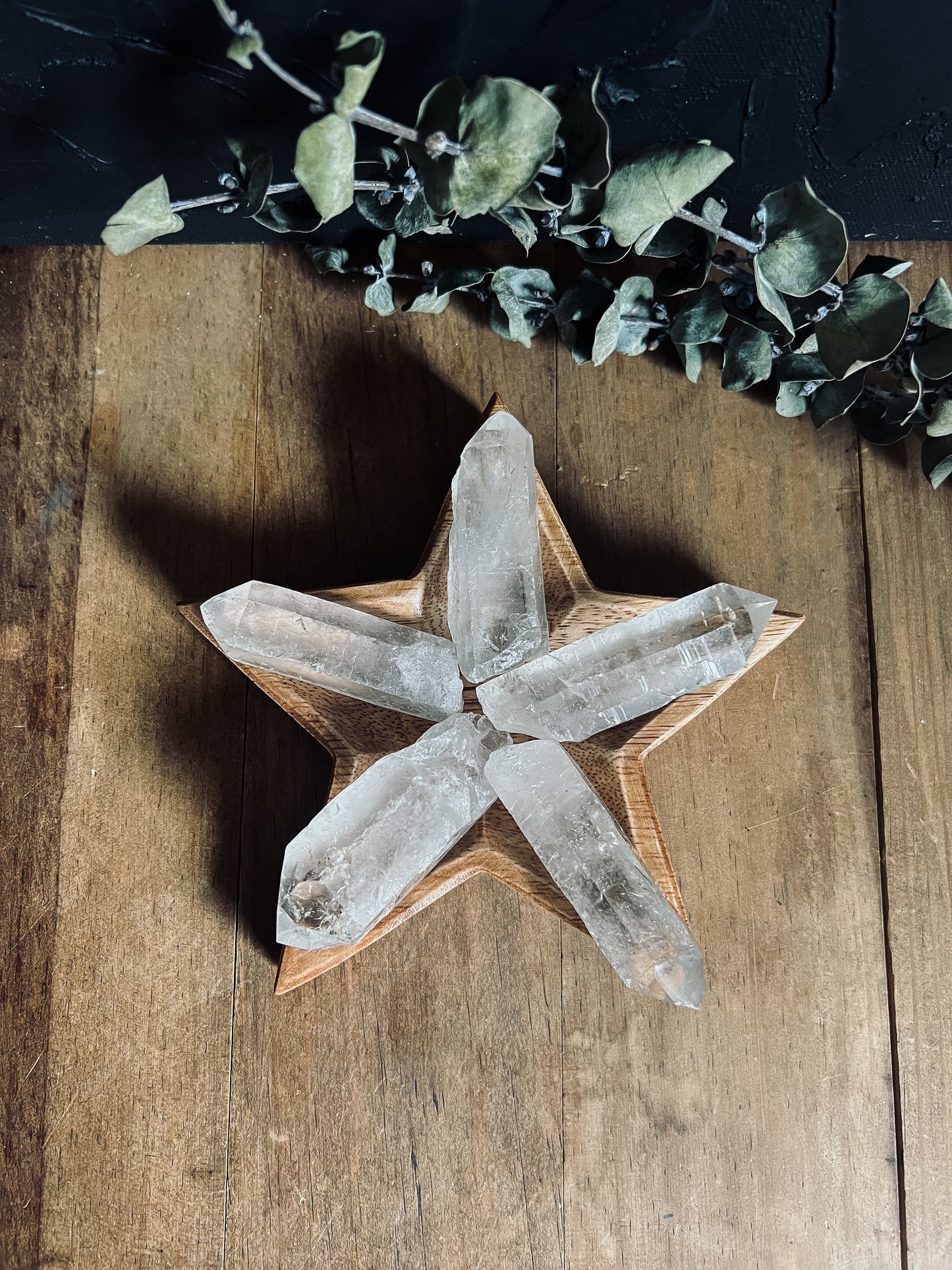 Wood Star Dish