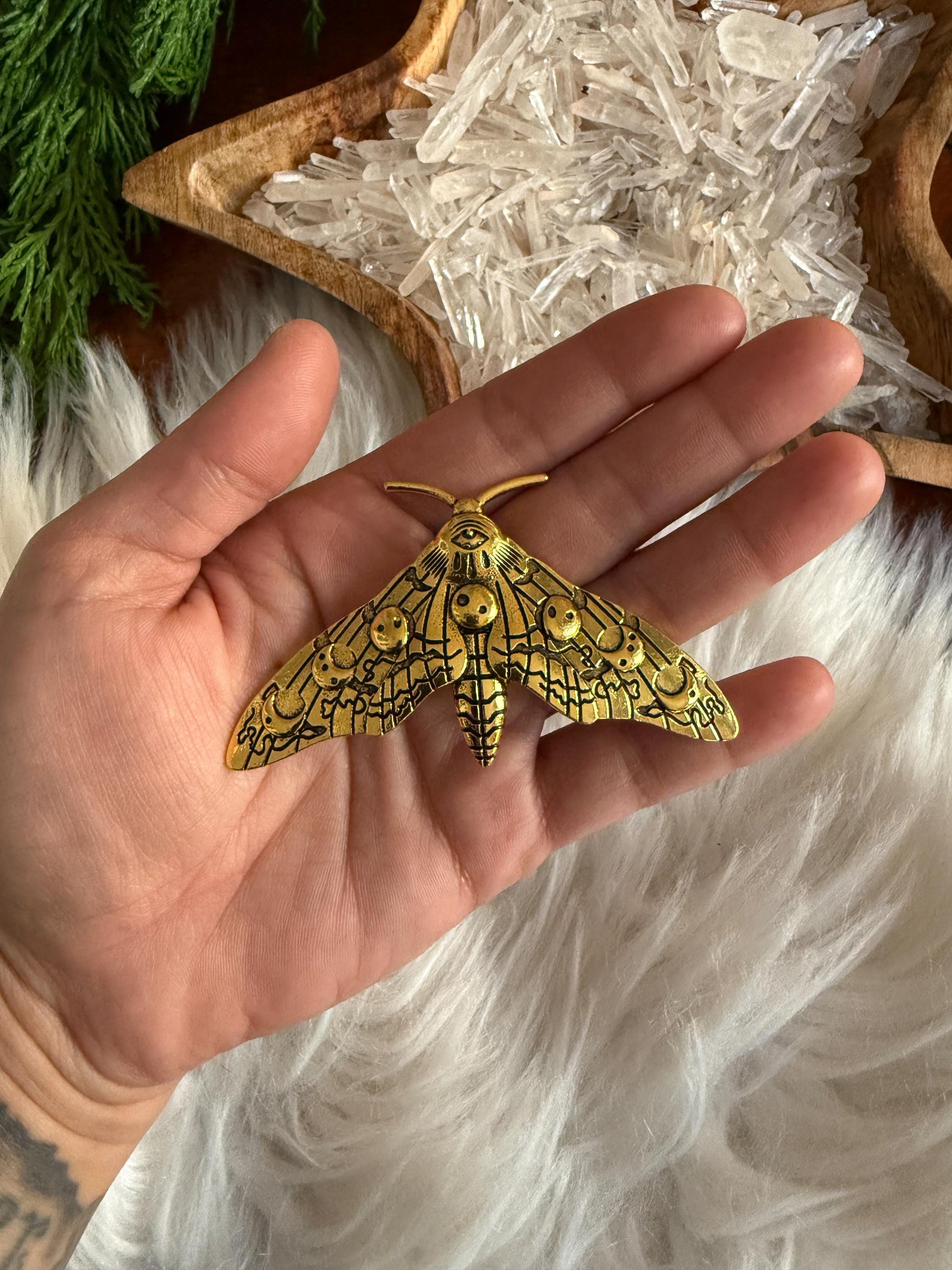 Large Brass Moon Phases Moth Pin