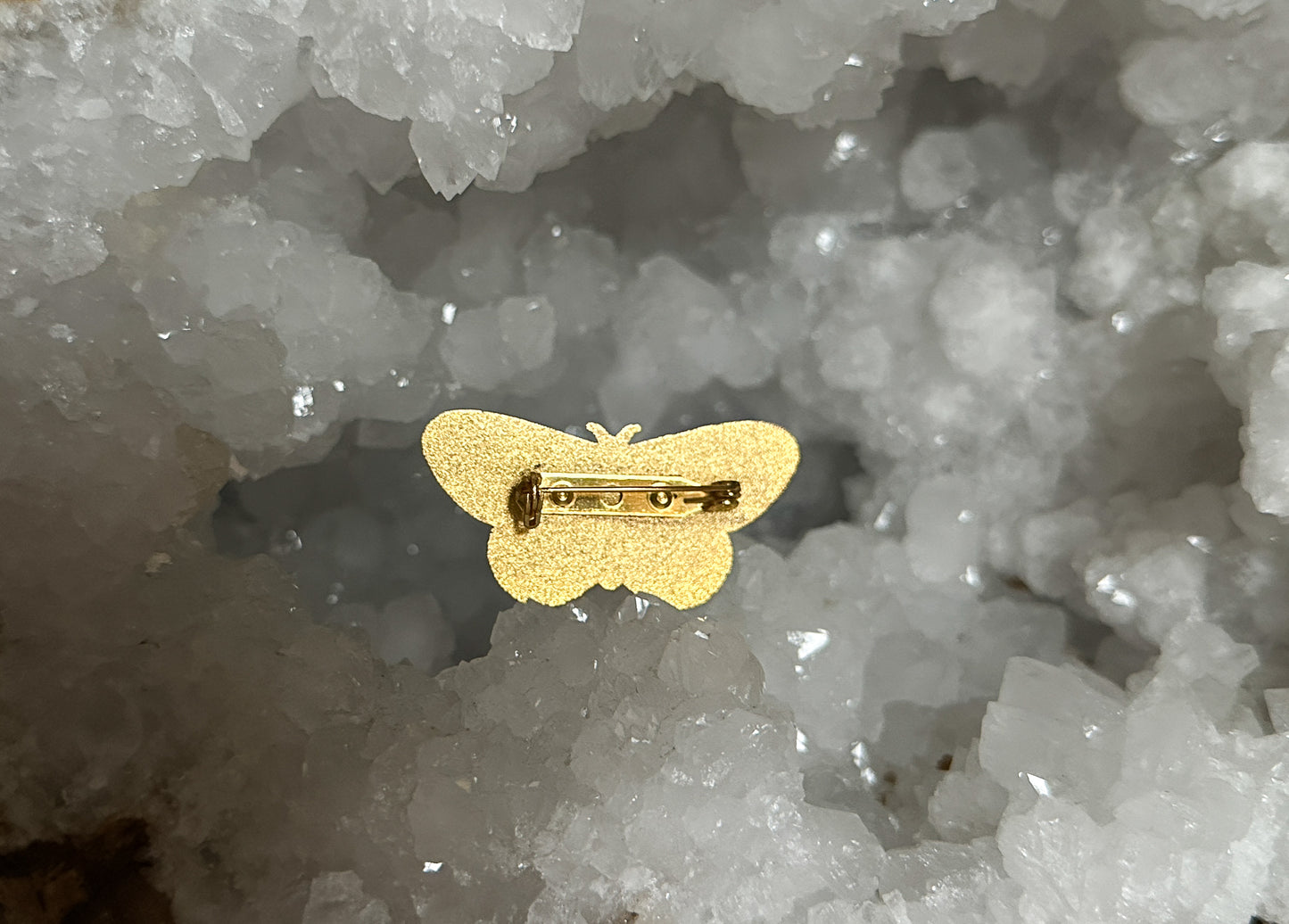 The Back of a Moth with Flowers Enamel Brooch at The Stone Maidens 